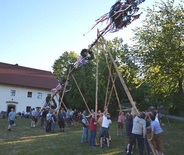 Mit vereinten Kräften stemmten die Männer den Obertrübenbacher Kirtabaum in die Senkrechte. Mit vereinten Kräften stemmten die Männer den Obertrübenbacher Kirtabaum in die Senkrechte.